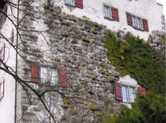 Handwerk in der Denkmalpflege - Weiterbildung mit Perspektiven